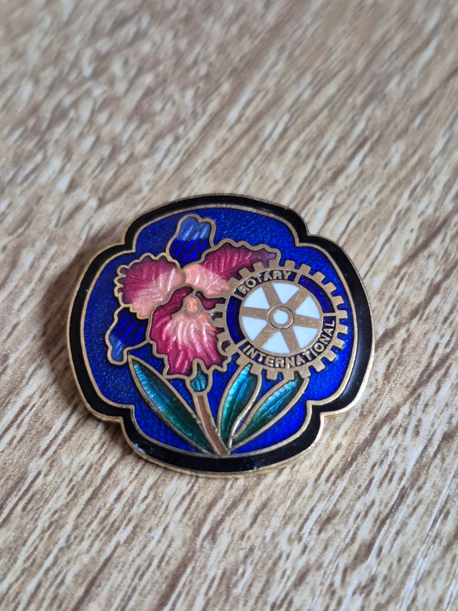 סיכת חברות Rotary